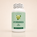 Hydrangea | Herbal Wellness Support | 100 Capsules