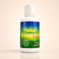 Chlorophyll Liquid Concentrate | Green Wellness Support | 16 fl oz